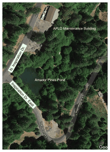 APLO Pond 217x300